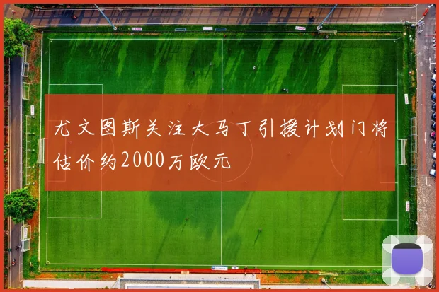 尤文图斯关注大马丁引援计划门将估价约2000万欧元