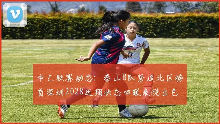 中乙联赛动态：泰山B队紧追北区榜首深圳2028近期状态回暖表现出色